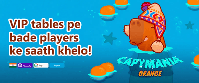 Loyalty Gift 559 promotion